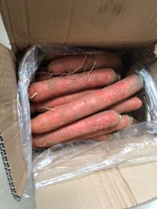 10.6，现挖陕西红萝卜小果5斤-灰豹网络