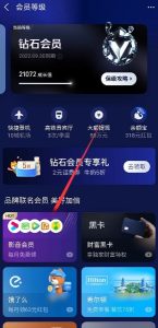 【每月】支付宝钻石会员每月免费领腾讯/优酷/爱奇艺/芒果/豪绿/B站等VIP月卡-灰豹网络