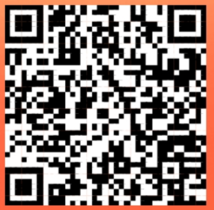 支付宝查看额度，领30元无门槛话费券-灰豹网络