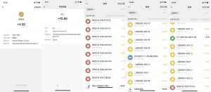 打榜项目,月费58.88不赚钱退款,我这里没有韭菜都是干货.-灰豹网络