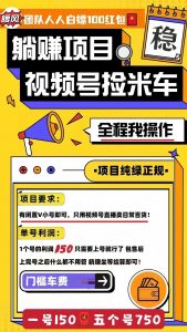 人人白嫖150红包特价16.66上车，快跟上咱们视频号躺赚神车‼️-灰豹网络