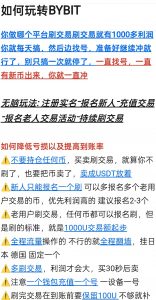 BY项目如何玩转不迷路，如何提高到账率详细教程-灰豹网络