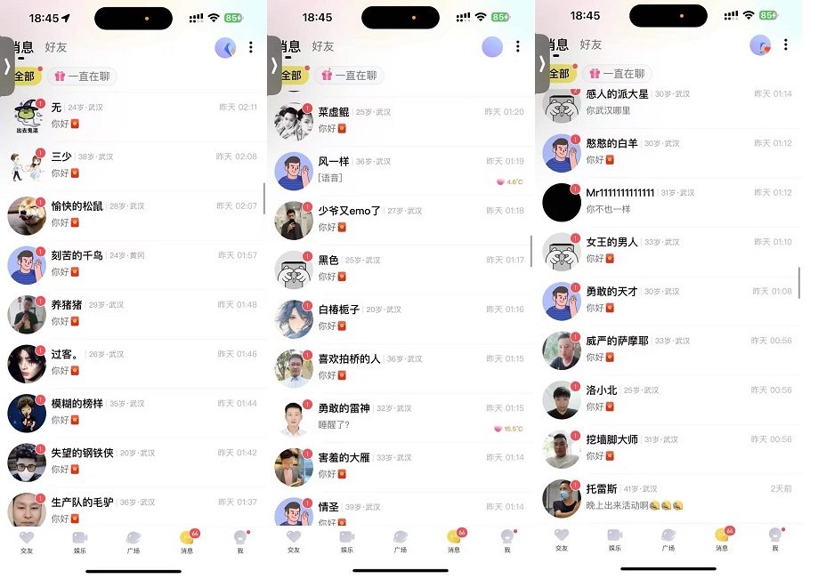 收费188,288的聊天项目在这里免费分享更新给大家 - 灰豹网络-灰豹网络