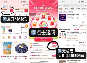 点淘114红包66量大65-灰豹网络